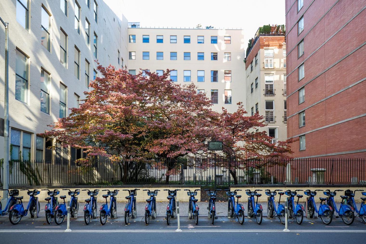 Chelsea 1br W Doorman Gym Nr High Line Nyc-677 Apartamento Nova York